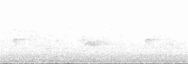 Дрізд-короткодзьоб плямистоволий - ML139118231