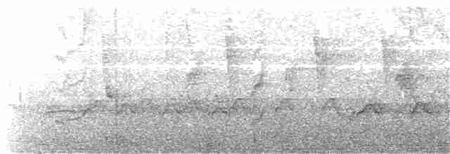 Weißbrust-Ameisenwürger - ML139138941