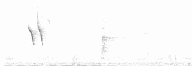 Tannenmeise (ledouci/atlas) - ML139184601