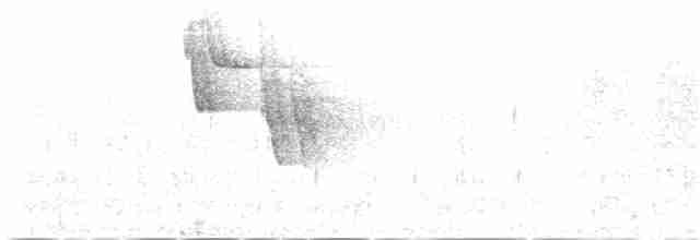 Çam Baştankarası (ledouci/atlas) - ML139184811