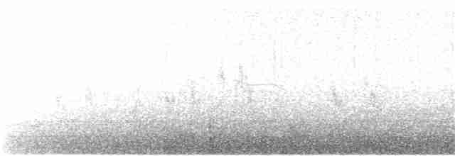 Citrine Wagtail - ML139252201