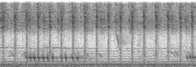 Surukua Trogonu (surrucura) - ML139271