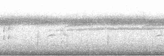 Оринокская иглохвостка - ML139280