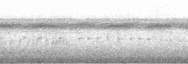 Оринокская иглохвостка - ML139282