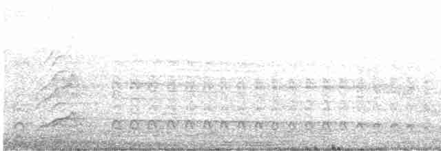 Malabar Gray Hornbill - ML139283561