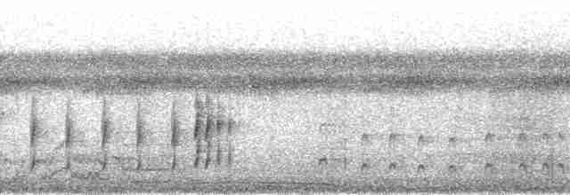 Оринокская иглохвостка - ML139284