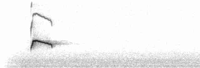Peer