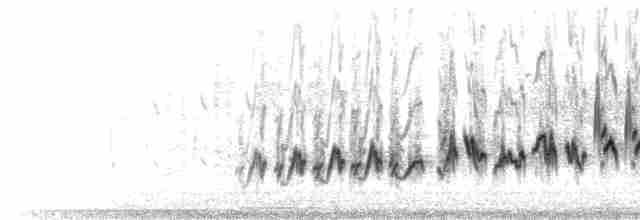 Song