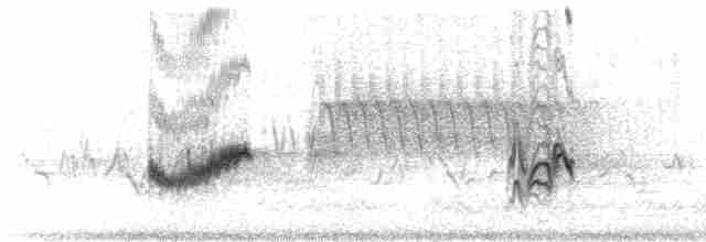 Disjunct Song