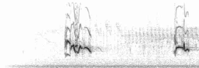 Disjunct Song