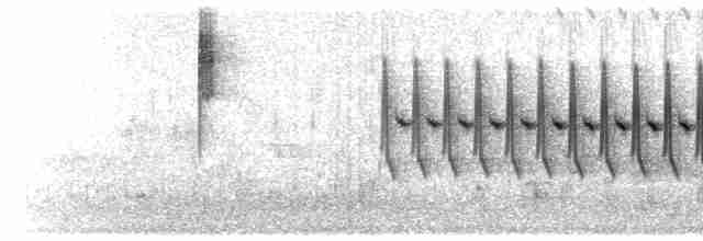 Song (alternating, with call notes interspersed)