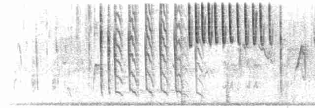 Tew Series & Twitter