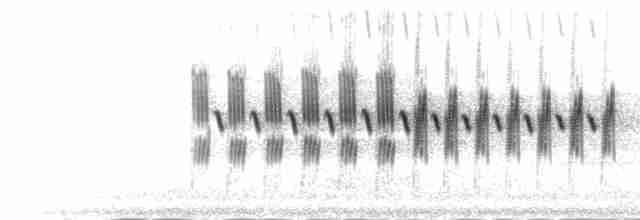 Song (alternating, one songtype 2-parted)