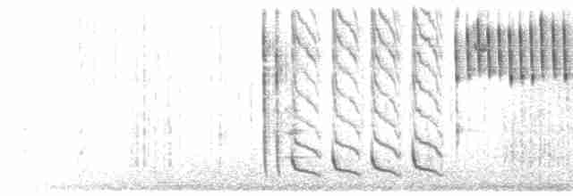 Tew Series & Twitter