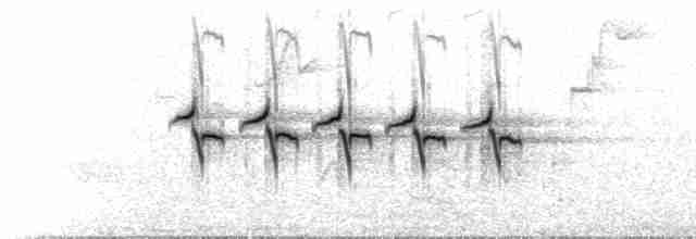 Song (couplet series)