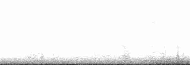 オオホシハジロ - ML139350161