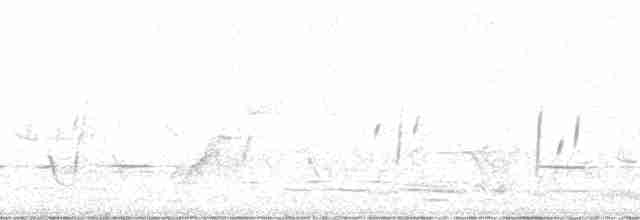 Ядлівчак сірий - ML13946