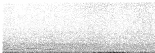 holub bělokřídlý - ML139482871