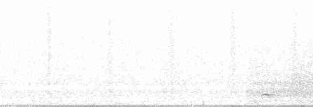 White-rumped Shama (White-rumped) - ML139499