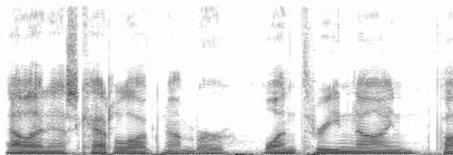 Gelbbauch-Bülbülgrasmücke - ML1395