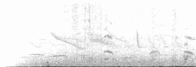 Wren-like Rushbird - ML139500401