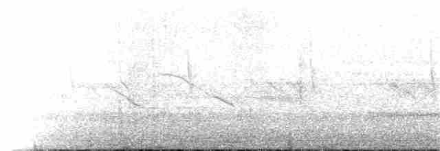 Spot-winged Pigeon - ML139500631
