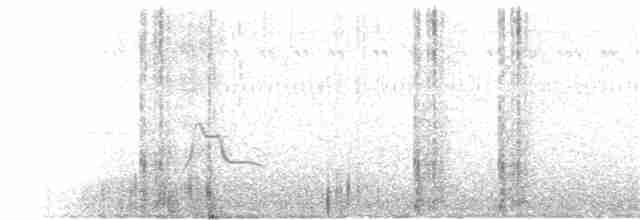 ツバメカザリドリ（boliviana） - ML139519881