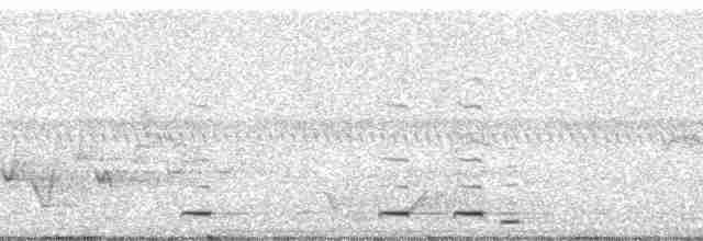Хохлатая птица-колокольчик - ML13952
