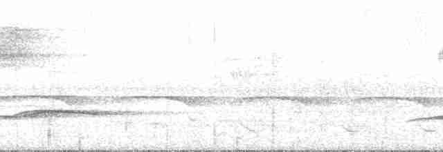 Kara Karınlı Tırtılyiyen - ML139520