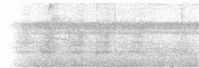 Мухоїд світлогорлий - ML139521281