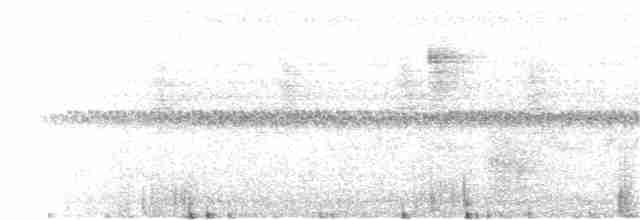 Paruline à gorge grise - ML139521371
