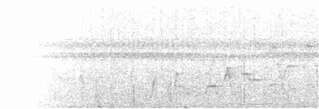 オリーブチャツグミ - ML139521511
