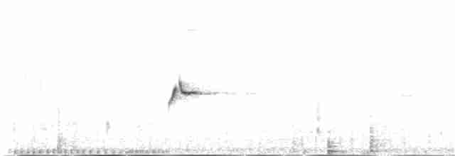 Sperlingsvogel, unbestimmt - ML139523351
