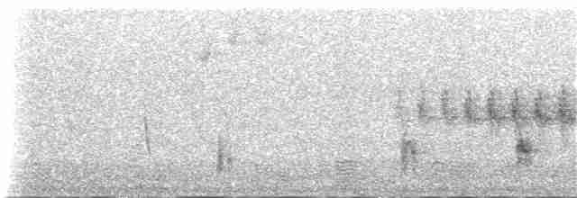 Берберийский кеклик - ML139523531