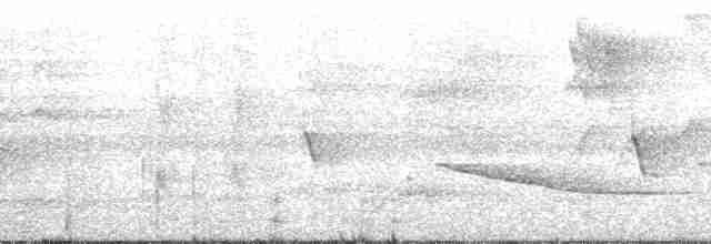 svartbrystbåtnebb - ML139524