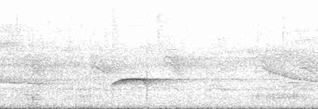 Tarçın Kaşlı Balkuşu - ML139526