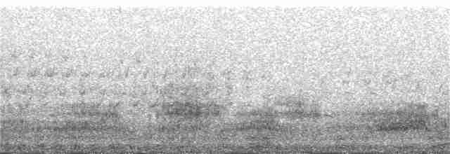 Sarcelle d'hiver (crecca) - ML139527531
