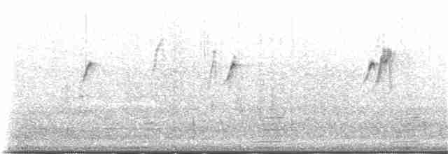 ub. piplerke (Anthus sp.) - ML139527931