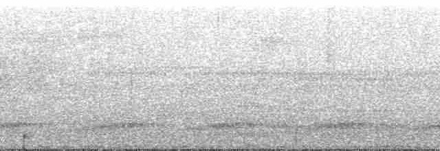 chřástalík kyklopský - ML139541