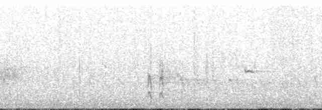 Белокрылая дриада - ML139574