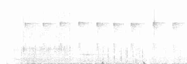 White-eared Sibia - ML139587361