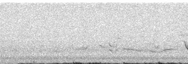Rufous Whistler - ML13961