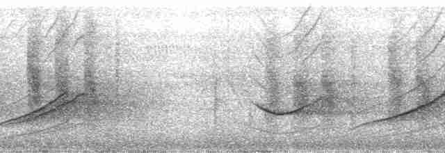 Горный цикадник - ML139614