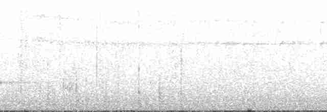 grovstripehonningeter - ML139649