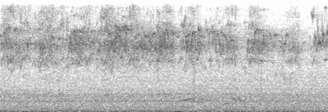 Лорікет чорнодзьобий - ML139654