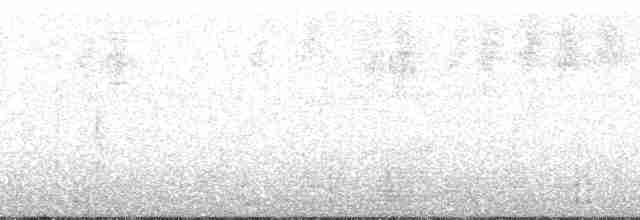 Séricorne montagnard - ML139659