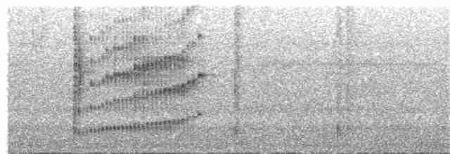 Benekli Göğüslü Çıtkuşu - ML139671381