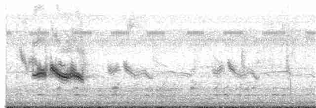 Gray-crowned Yellowthroat - ML139672501