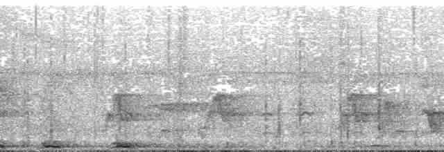 sirenehonningeter - ML139691