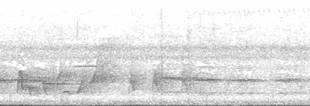 Ada Ardıcı (tempesti) - ML139694